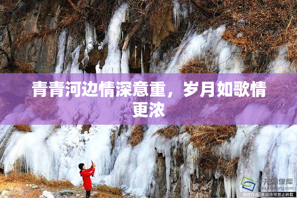 青青河边情深意重，岁月如歌情更浓