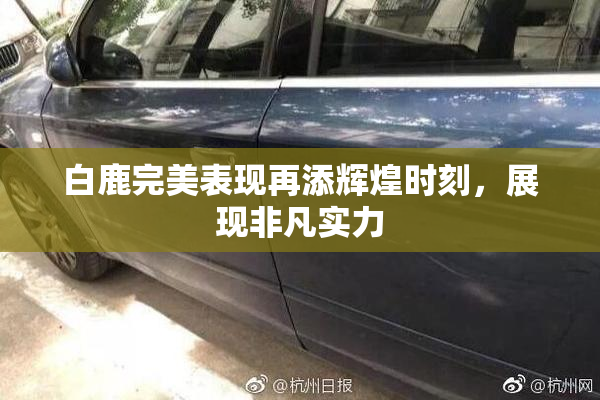 白鹿完美表现再添辉煌时刻，展现非凡实力