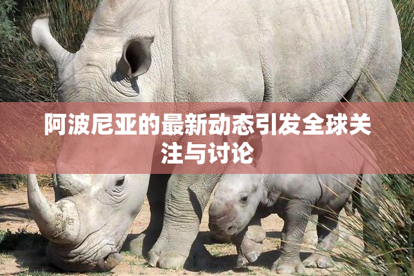 阿波尼亚的最新动态引发全球关注与讨论