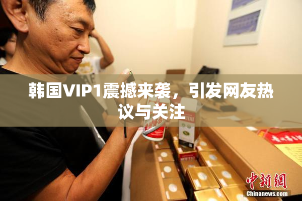 韩国VIP1震撼来袭，引发网友热议与关注