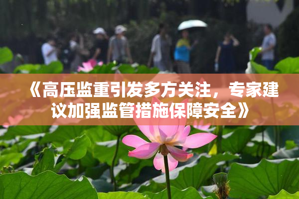 《高压监重引发多方关注，专家建议加强监管措施保障安全》