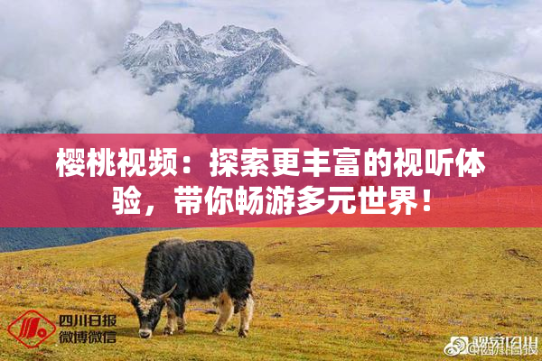 樱桃视频：探索更丰富的视听体验，带你畅游多元世界！
