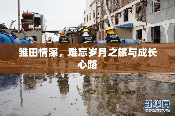 雏田情深，难忘岁月之旅与成长心路