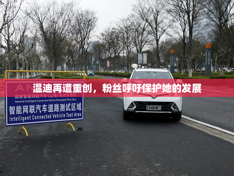 温迪再遭重创，粉丝呼吁保护她的发展