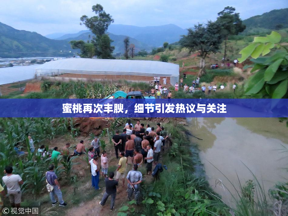 蜜桃再次丰腴，细节引发热议与关注