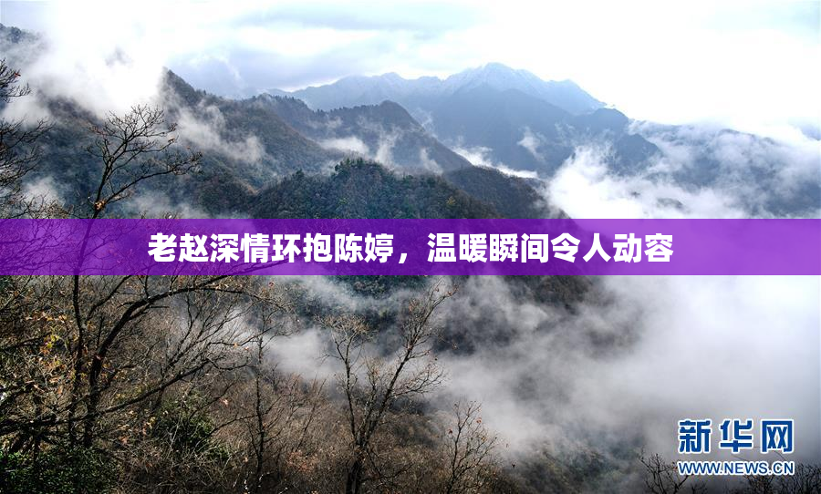 老赵深情环抱陈婷，温暖瞬间令人动容