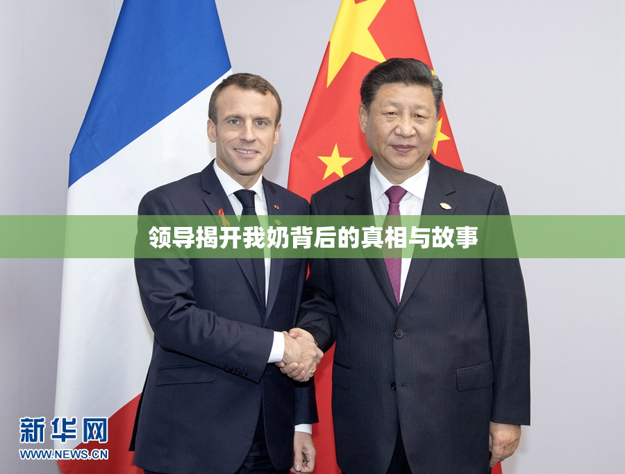 领导揭开我奶背后的真相与故事