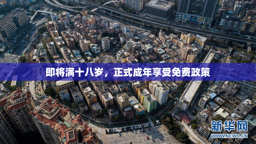 即将满十八岁，正式成年享受免费政策