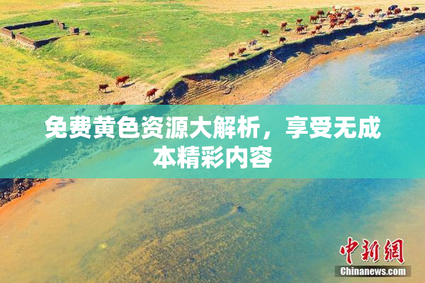 免费黄色资源大解析，享受无成本精彩内容