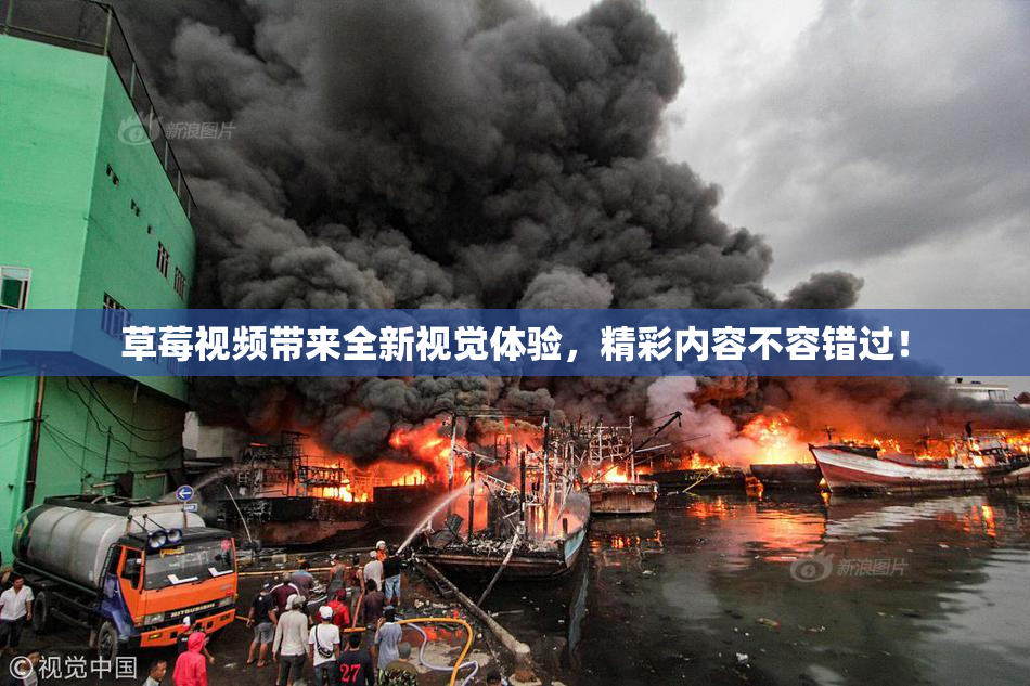 草莓视频带来全新视觉体验，精彩内容不容错过！