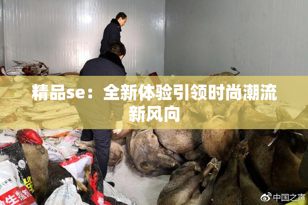 精品se：全新体验引领时尚潮流新风向