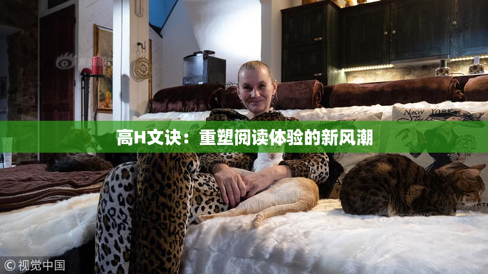 高H文诀：重塑阅读体验的新风潮