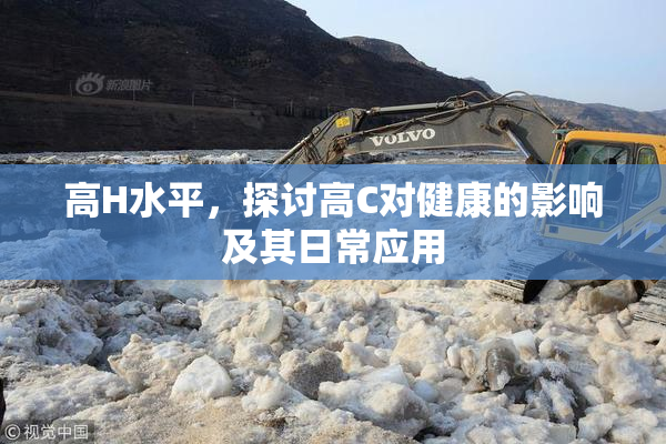 高H水平，探讨高C对健康的影响及其日常应用