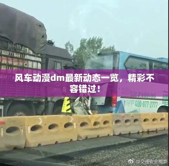 风车动漫dm最新动态一览，精彩不容错过！