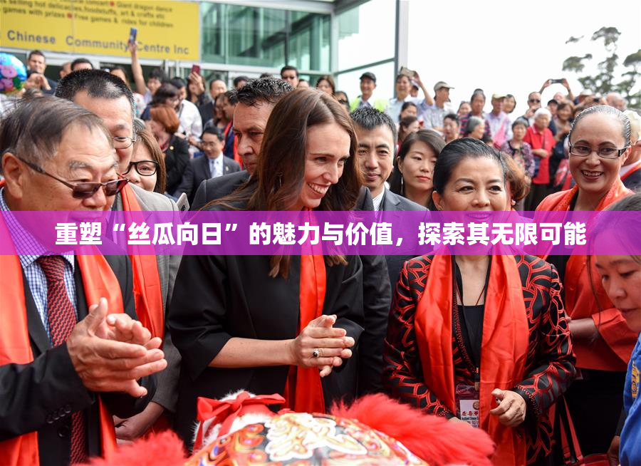 重塑“丝瓜向日”的魅力与价值，探索其无限可能