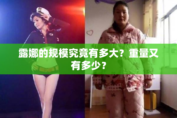 露娜的规模究竟有多大？重量又有多少？
