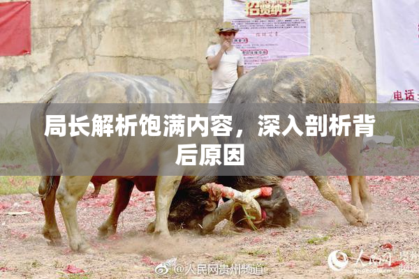 局长解析饱满内容，深入剖析背后原因