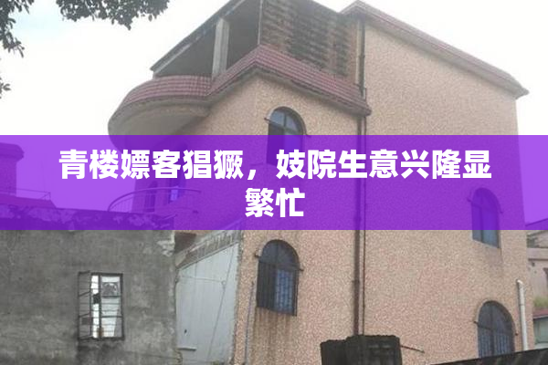 青楼嫖客猖獗，妓院生意兴隆显繁忙