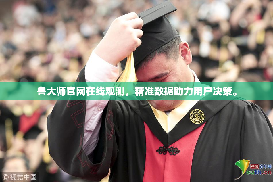 鲁大师官网在线观测，精准数据助力用户决策。