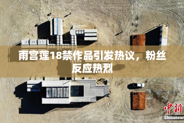雨宫莲18禁作品引发热议，粉丝反应热烈