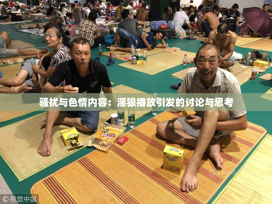 骚扰与色情内容：淫狼播放引发的讨论与思考