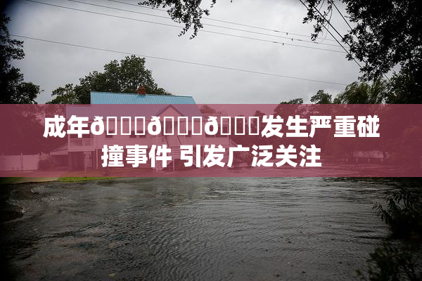 成年🍆🍑🔞发生严重碰撞事件 引发广泛关注