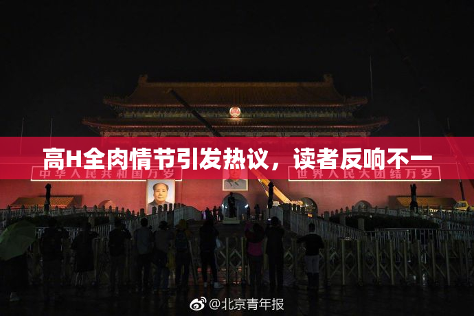 高H全肉情节引发热议，读者反响不一