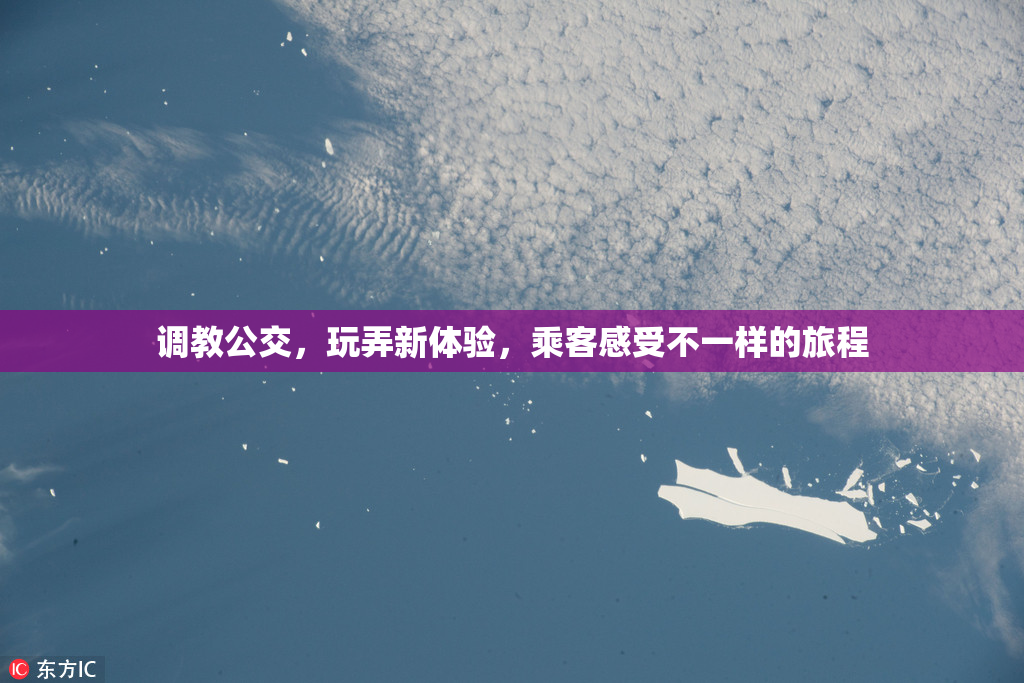 调教公交，玩弄新体验，乘客感受不一样的旅程