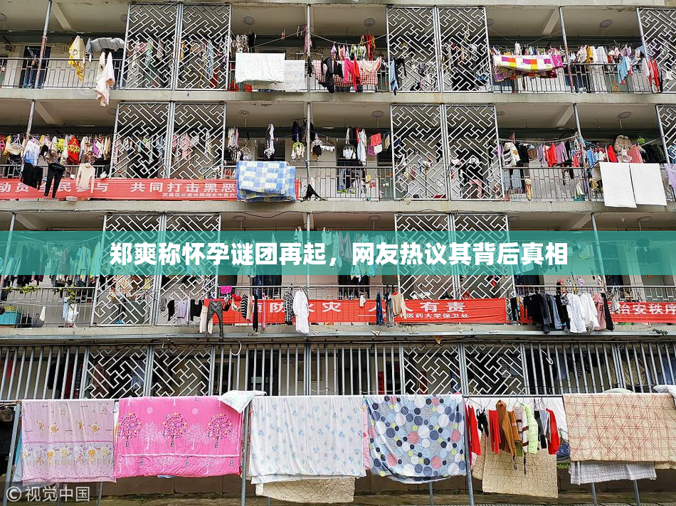 郑爽称怀孕谜团再起，网友热议其背后真相