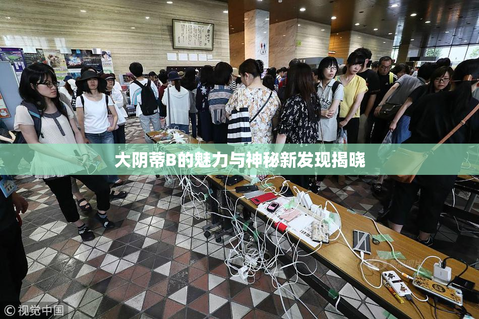 大阴蒂B的魅力与神秘新发现揭晓