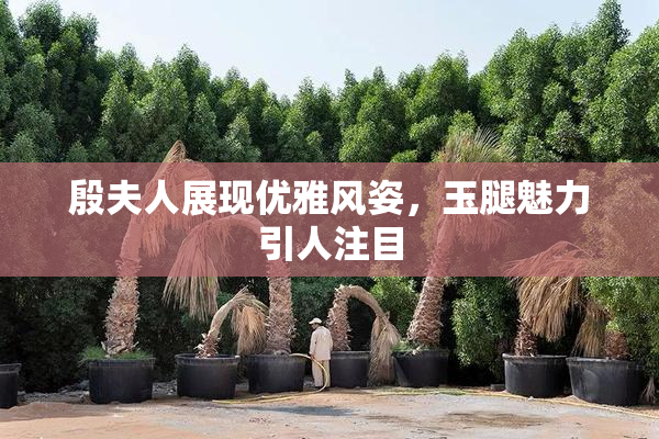 殷夫人展现优雅风姿，玉腿魅力引人注目