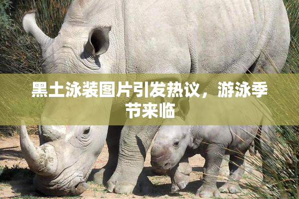 黑土泳装图片引发热议，游泳季节来临