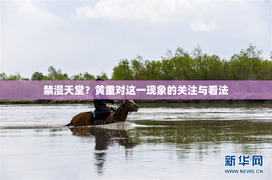禁漫天堂？黄重对这一现象的关注与看法