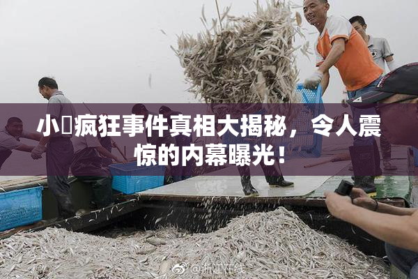 小泬疯狂事件真相大揭秘，令人震惊的内幕曝光！