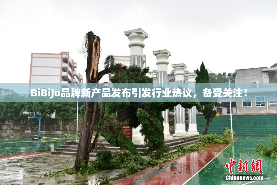 BiBiJo品牌新产品发布引发行业热议，备受关注！