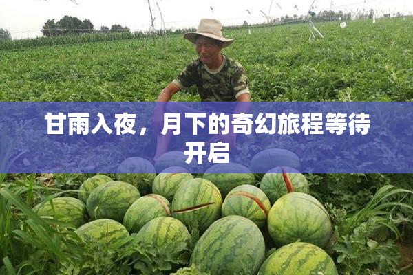 甘雨入夜，月下的奇幻旅程等待开启