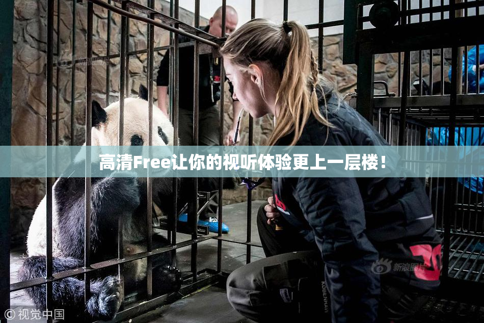 高清Free让你的视听体验更上一层楼！