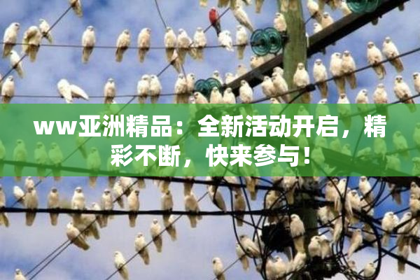 ww亚洲精品：全新活动开启，精彩不断，快来参与！