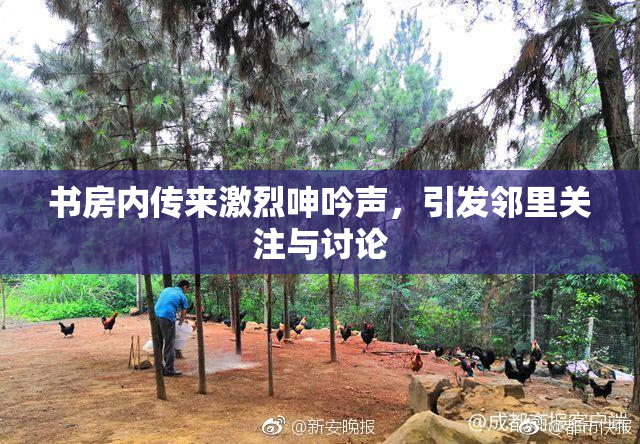 书房内传来激烈呻吟声，引发邻里关注与讨论