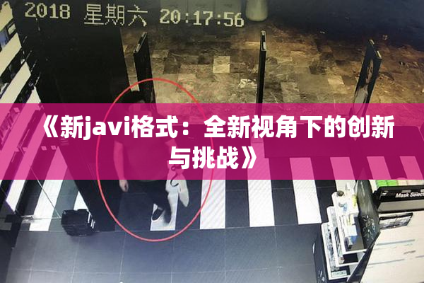 《新javi格式：全新视角下的创新与挑战》