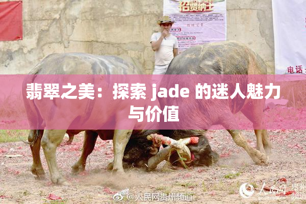 翡翠之美：探索 jade 的迷人魅力与价值