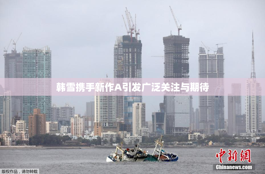 韩雪携手新作A引发广泛关注与期待