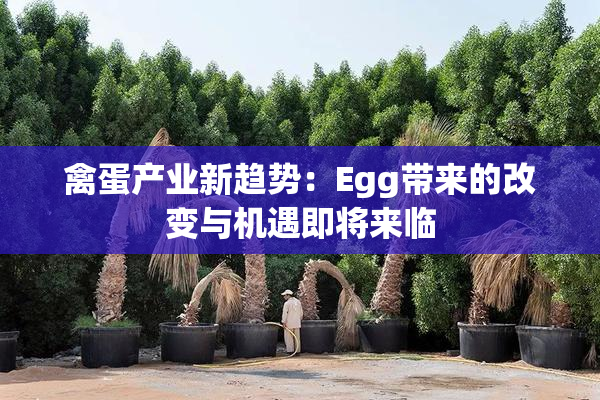 禽蛋产业新趋势：Egg带来的改变与机遇即将来临