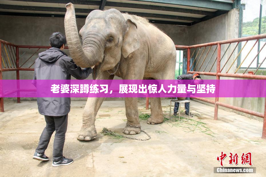 老婆深蹲练习，展现出惊人力量与坚持