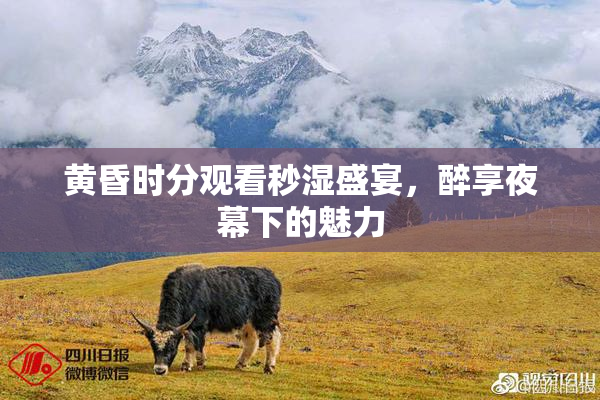 黄昏时分观看秒湿盛宴，醉享夜幕下的魅力