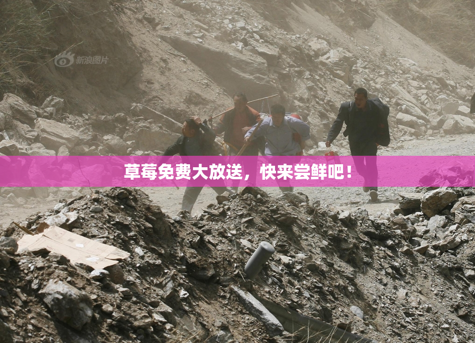 草莓免费大放送，快来尝鲜吧！
