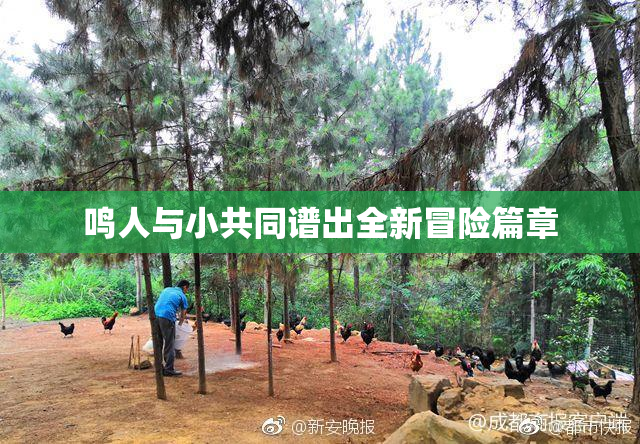 鸣人与小共同谱出全新冒险篇章