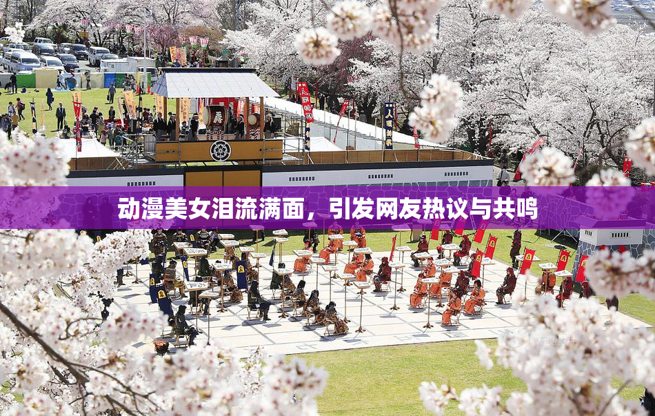 动漫美女泪流满面，引发网友热议与共鸣