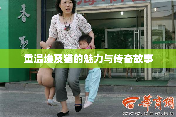 重温埃及猫的魅力与传奇故事