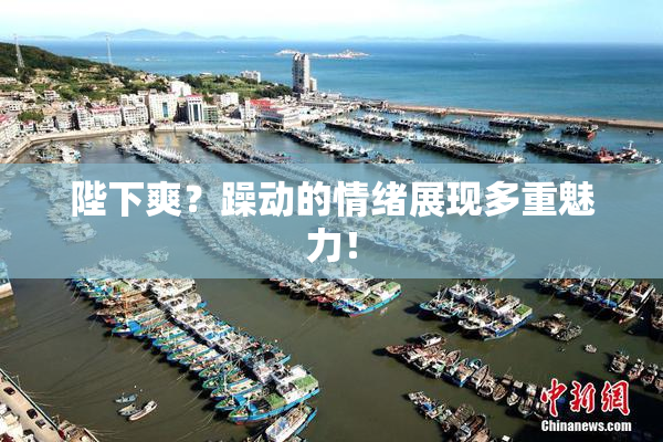 陛下爽？躁动的情绪展现多重魅力！